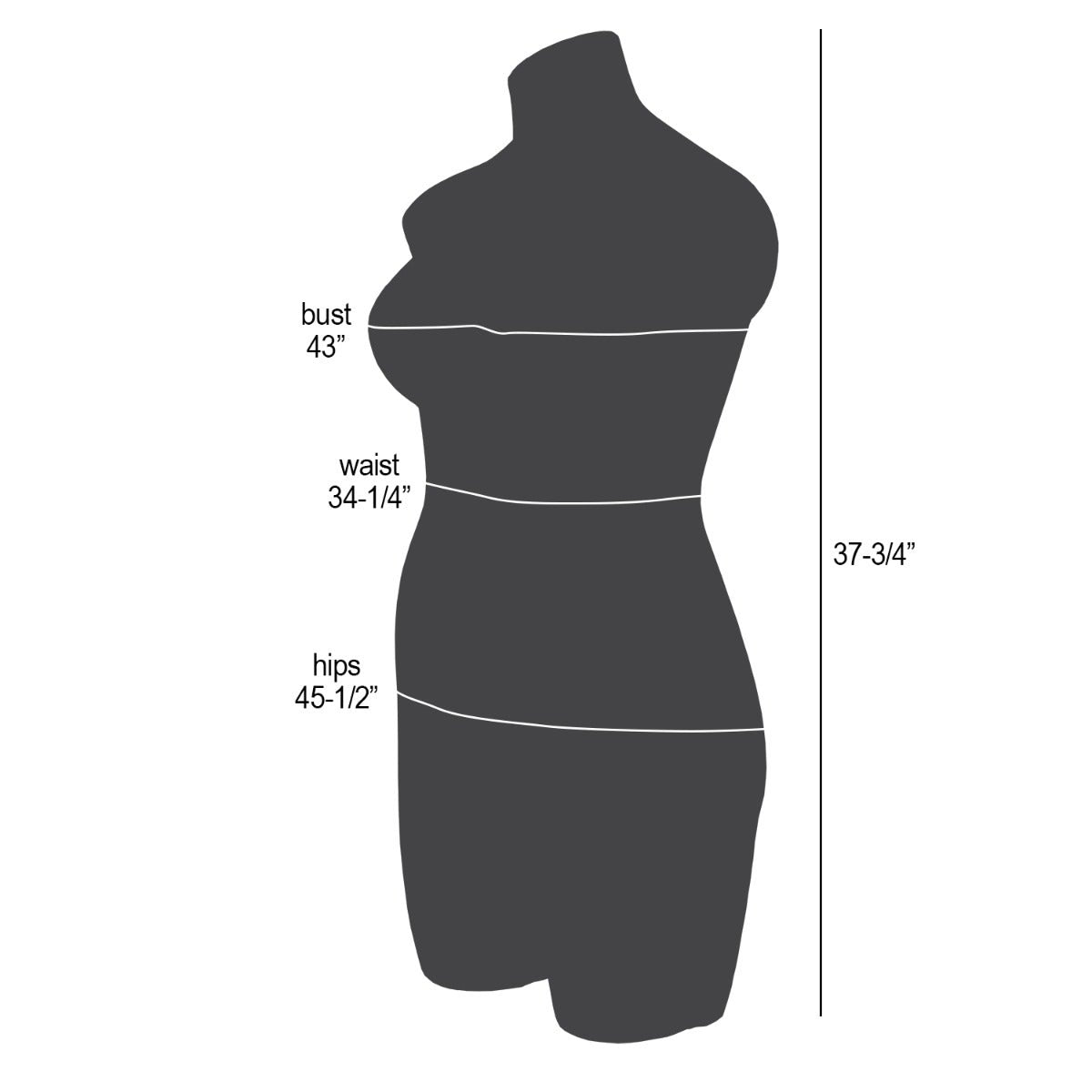 Endurable Female Torso | Plus Size - Eddie's Hang-Up Display Ltd.