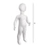 Child Mannequin | 18 - 24 Months - Eddie's Hang-Up Display Ltd.