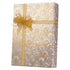 Gold and Silver Feathers Gift Wrap