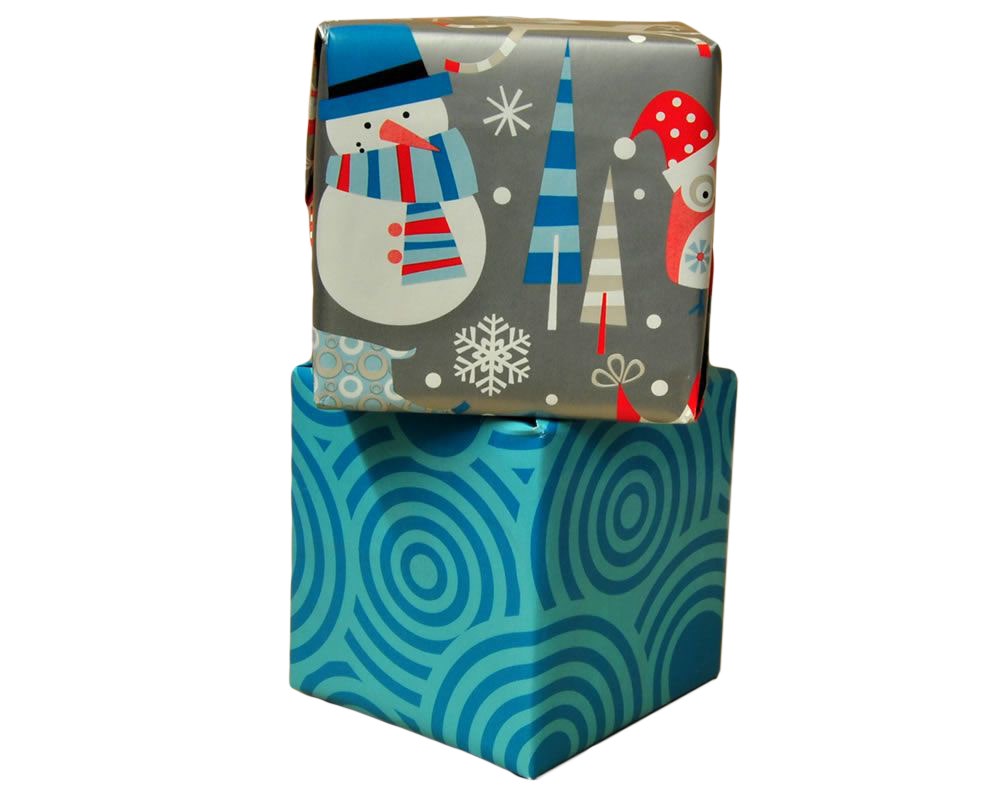 Snowplay Christmas Gift Wrap | Reversible | 24" x 100' - Eddie's Hang-Up Display Ltd.